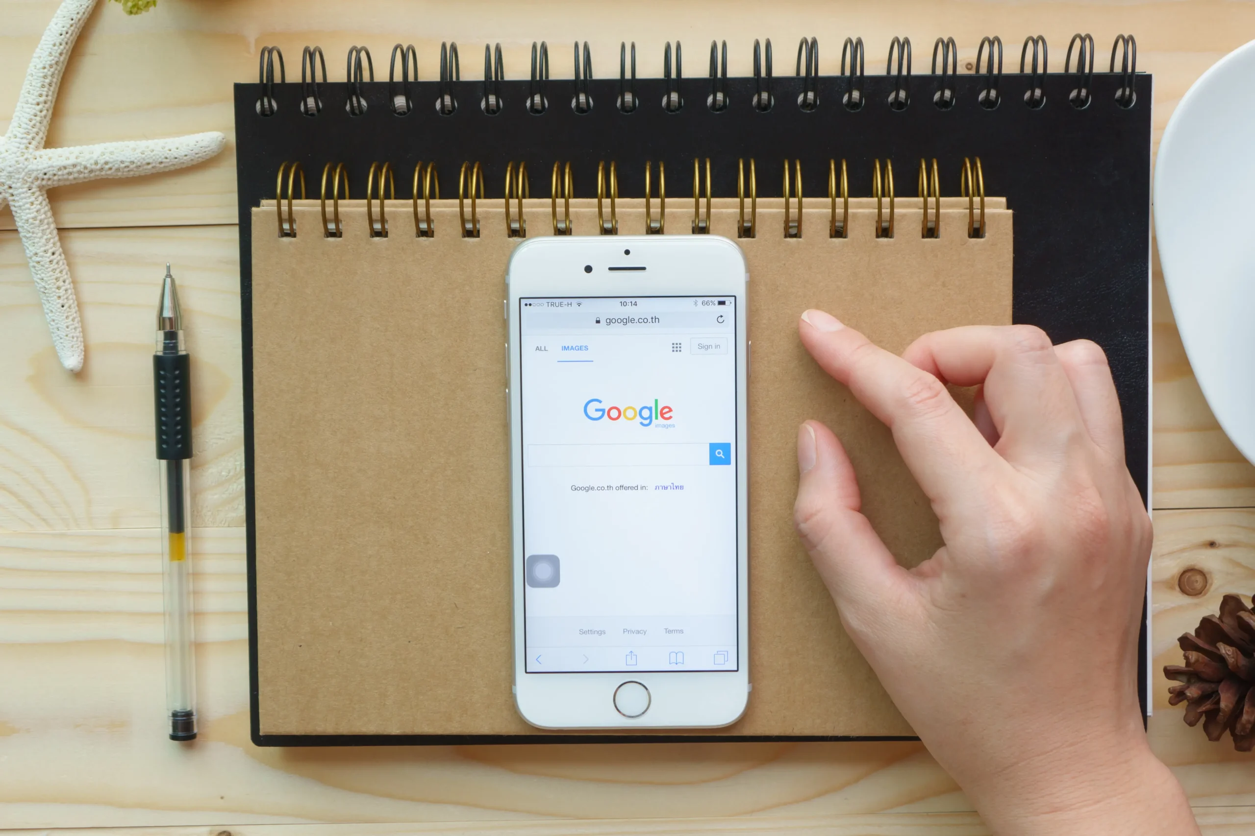 Google Business Profile Google Business Profile